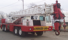 crane